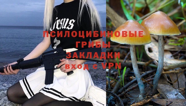 спайс Покачи