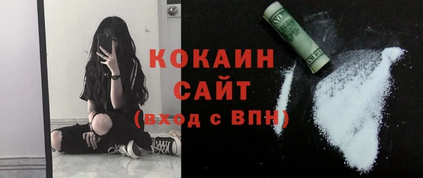 прущие грибы Покров