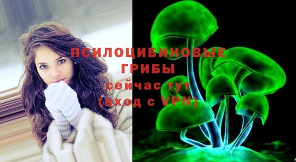 прущие грибы Покров
