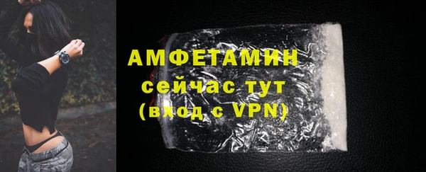 прущие грибы Покров