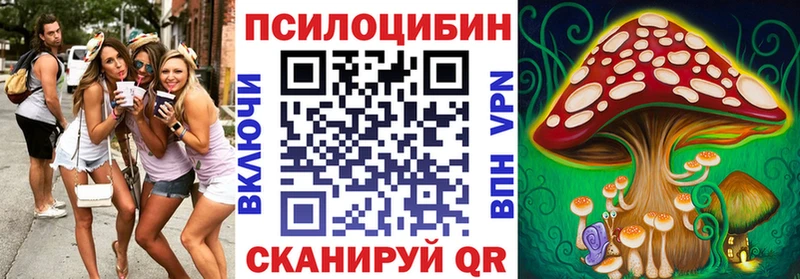 Галлюциногенные грибы мицелий  Вышний Волочёк 